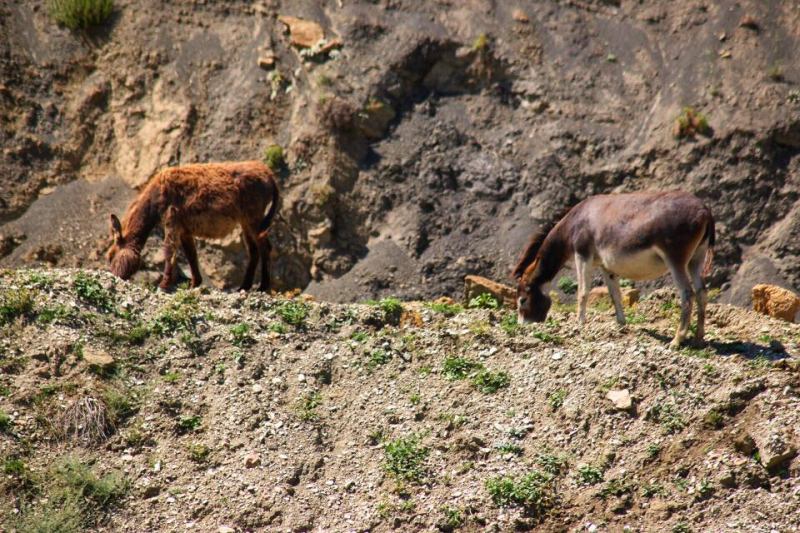 Автостопом из Чечни в Дагестан