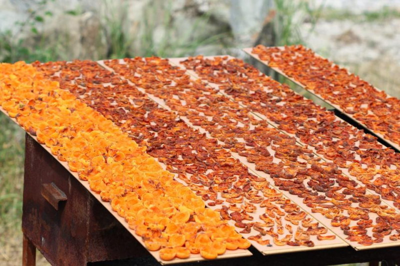 Автостопом из Чечни в Дагестан