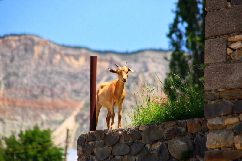 Автостопом из Чечни в Дагестан
