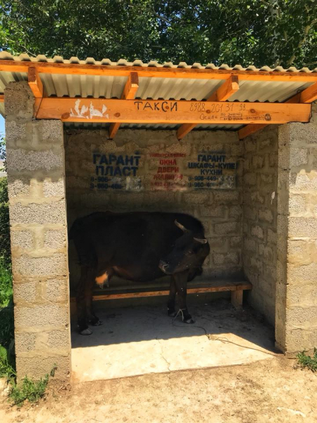 Автостопом из Чечни в Дагестан