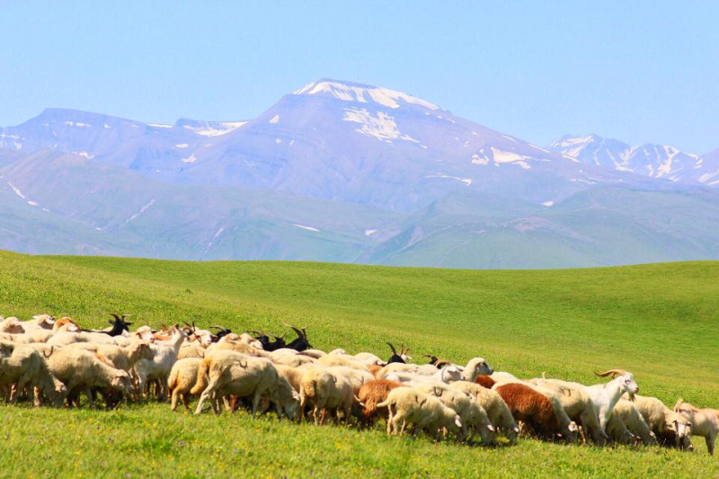 Автостопом из Чечни в Дагестан