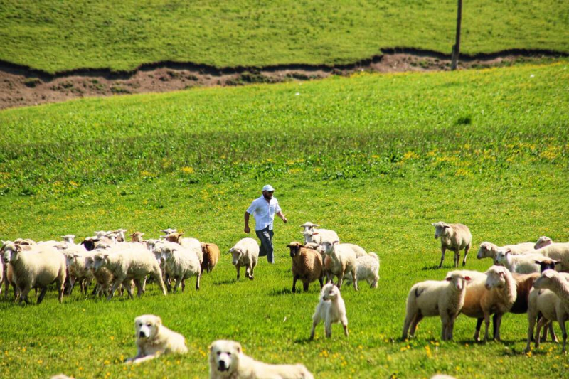 Автостопом из Чечни в Дагестан