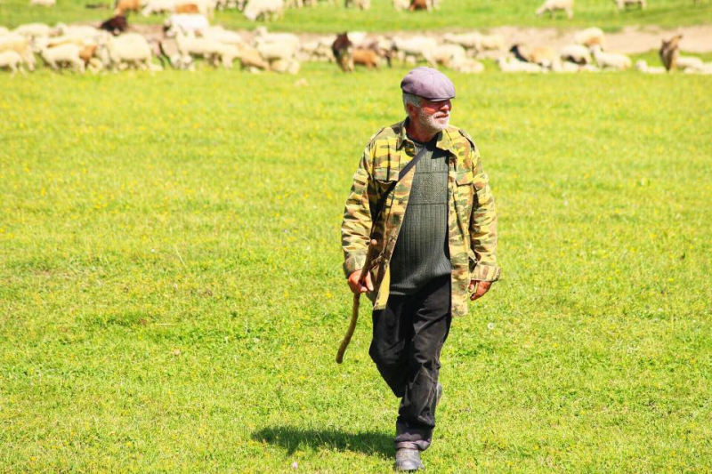 Автостопом из Чечни в Дагестан