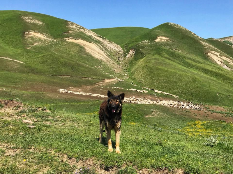 Автостопом из Чечни в Дагестан