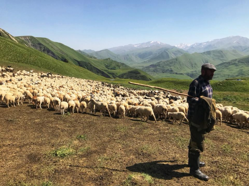 Автостопом из Чечни в Дагестан
