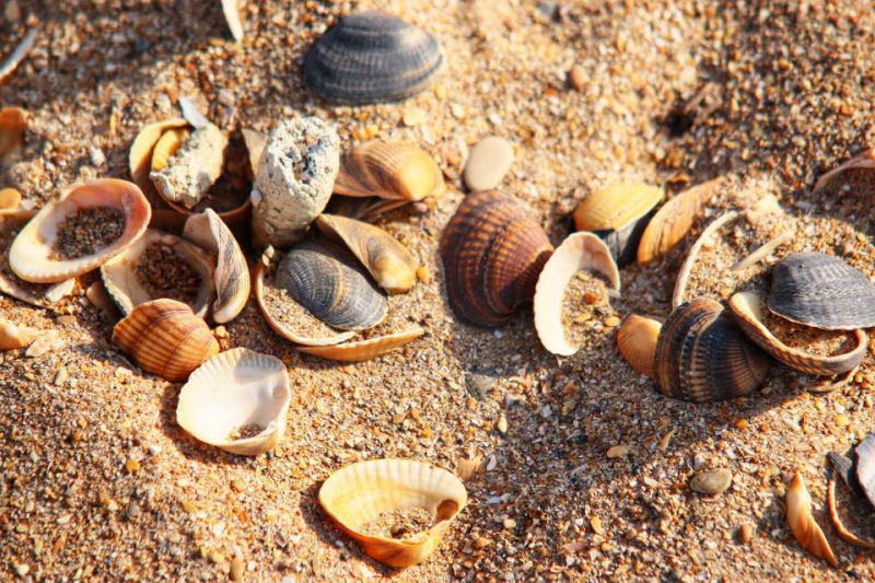 Автостопом из Чечни в Дагестан