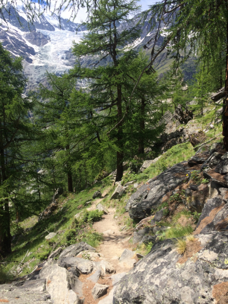 Альпы в июне 2018 (Шамони-Церматт-Ридеральп) Часть2. Швейцарская
