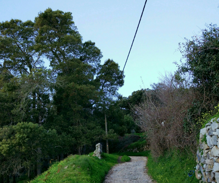 Via Algarviana + Rota Vicentina, февраль 2018