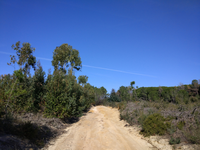 Via Algarviana + Rota Vicentina, февраль 2018