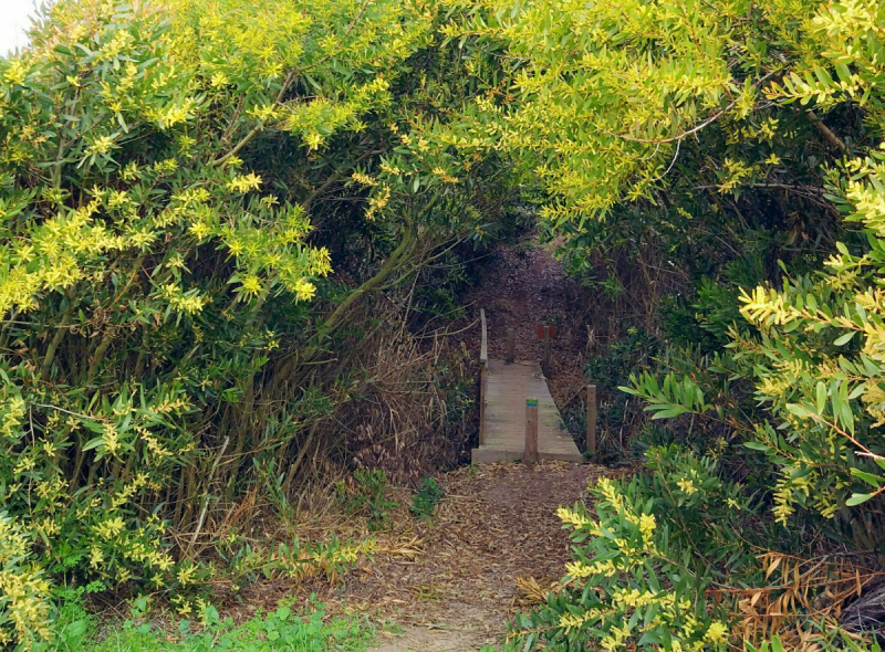 Via Algarviana + Rota Vicentina, февраль 2018