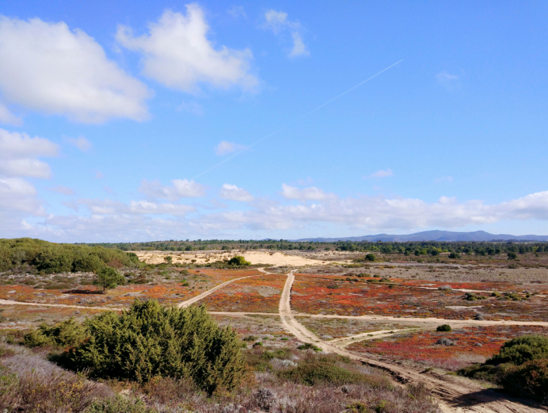 Via Algarviana + Rota Vicentina, февраль 2018