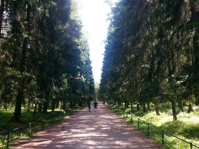 Россия времен ЧМ по футболу 2018: Москва-Коломна-СПб-Карелия-Соловки-Кронштадт-СПб