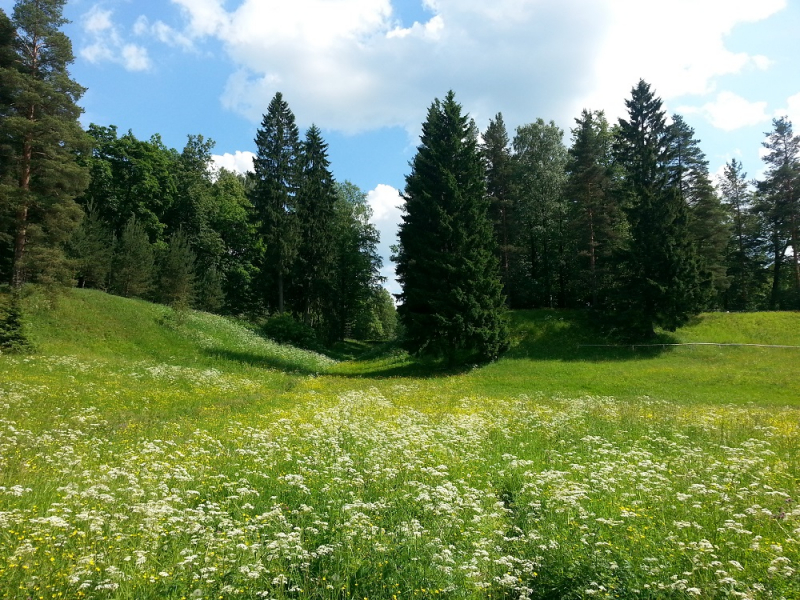 Россия времен ЧМ по футболу 2018: Москва-Коломна-СПб-Карелия-Соловки-Кронштадт-СПб