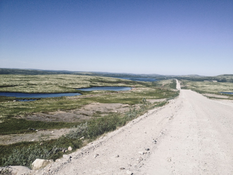 Летнее Заполярье. Кольский полуостров, 2018.