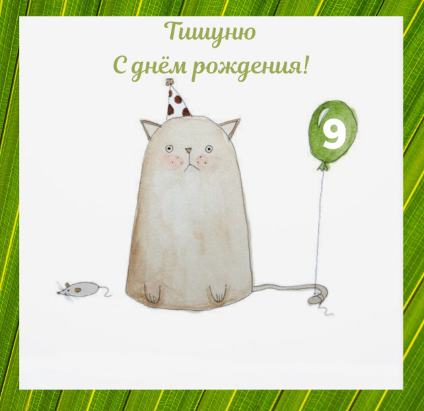 Кошки в нашей жизни. Кошки и все, что с ними связано.