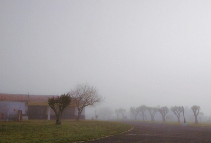 Via Algarviana + Rota Vicentina, февраль 2018