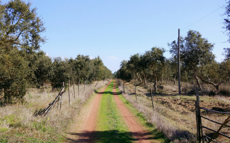 Via Algarviana + Rota Vicentina, февраль 2018