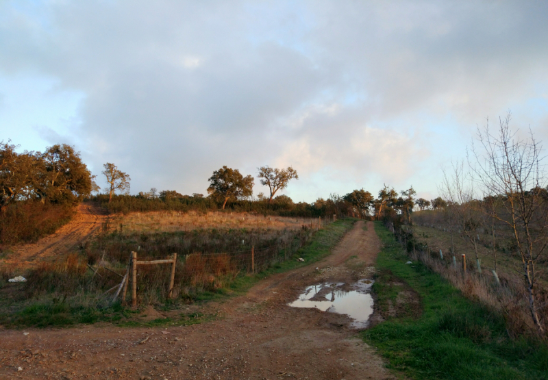 Via Algarviana + Rota Vicentina, февраль 2018