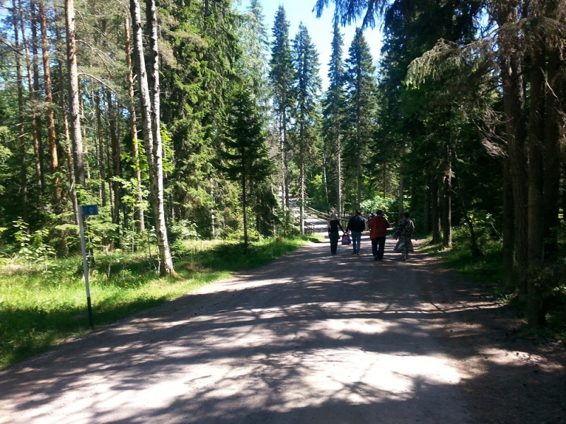 Россия времен ЧМ по футболу 2018: Москва-Коломна-СПб-Карелия-Соловки-Кронштадт-СПб