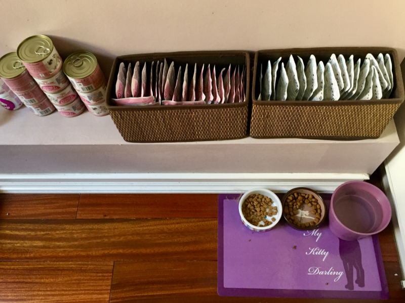 Кошки в нашей жизни. Кошки и все, что с ними связано.