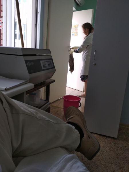 Кошки в нашей жизни. Кошки и все, что с ними связано.