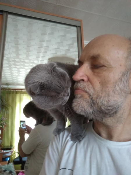 Кошки в нашей жизни. Кошки и все, что с ними связано.