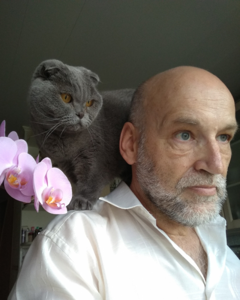 Кошки в нашей жизни. Кошки и все, что с ними связано.