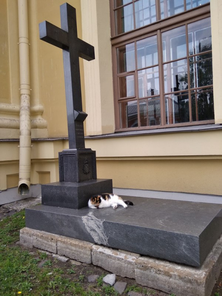 Кошки в нашей жизни. Кошки и все, что с ними связано.