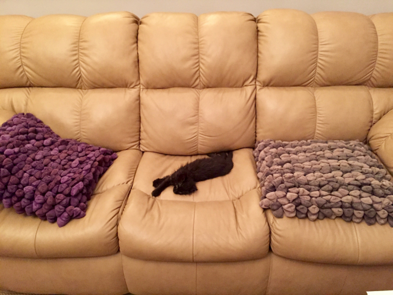 Кошки в нашей жизни. Кошки и все, что с ними связано.