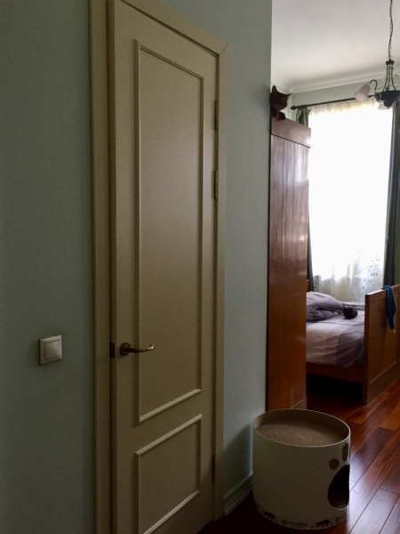 Кошки в нашей жизни. Кошки и все, что с ними связано.