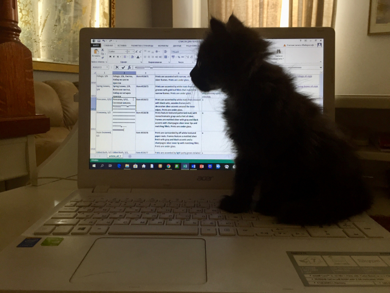 Кошки в нашей жизни. Кошки и все, что с ними связано.