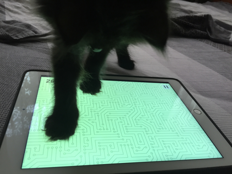 Кошки в нашей жизни. Кошки и все, что с ними связано.