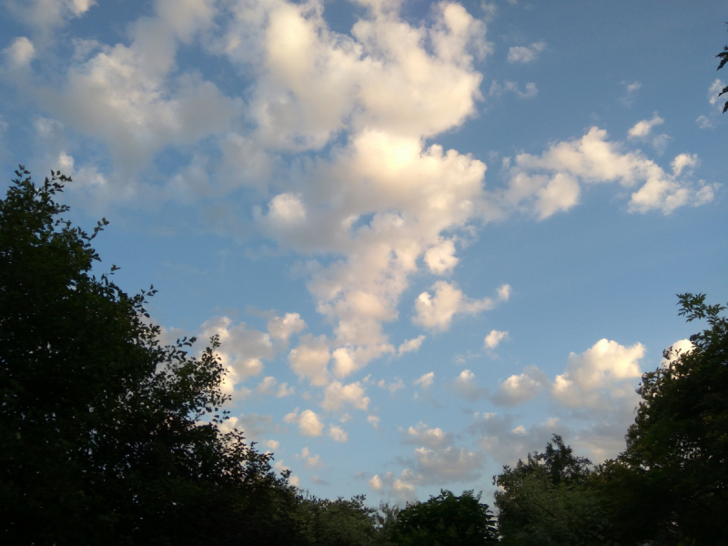 Кошки в нашей жизни. Кошки и все, что с ними связано.