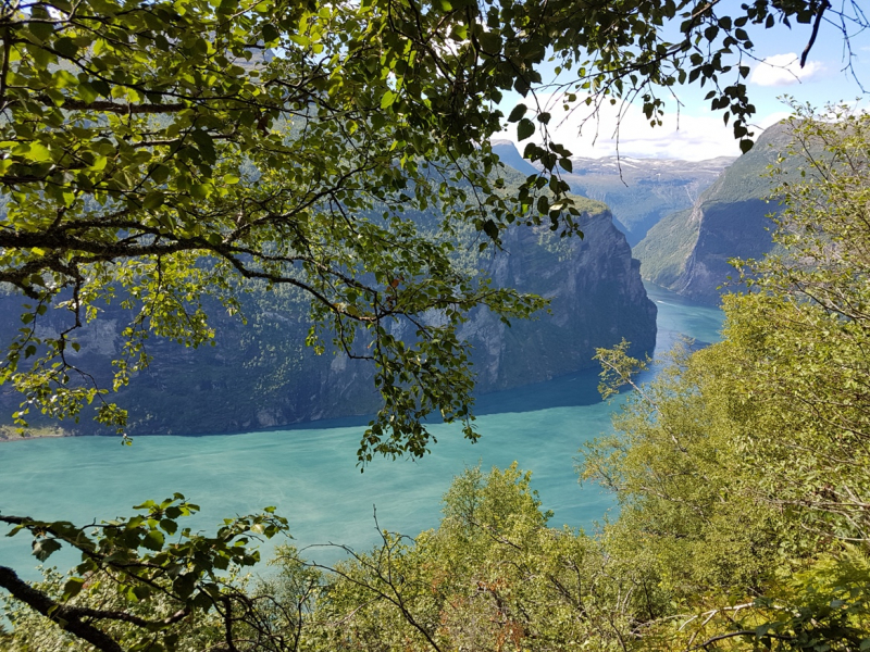 4 дня на авто с палаткой. Geiranger, Mohn Topp/Bladet, Nigardsbreen, FV55.