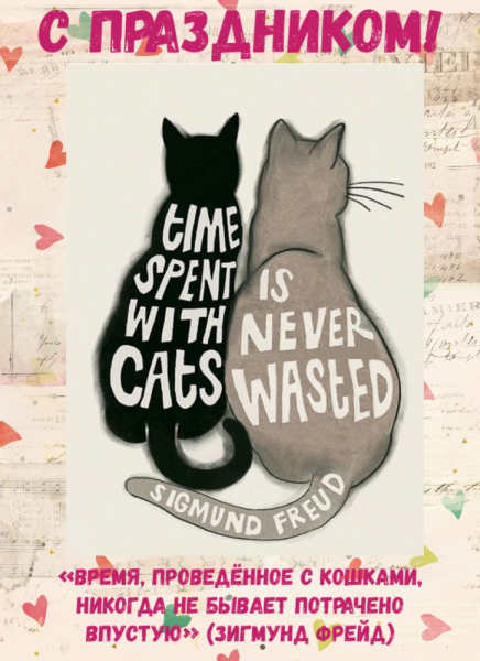 Кошки в нашей жизни. Кошки и все, что с ними связано.