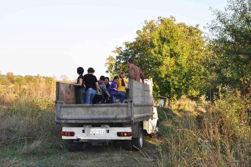 Праздник сбора винограда в Грузии - Ртвели. Как это было?