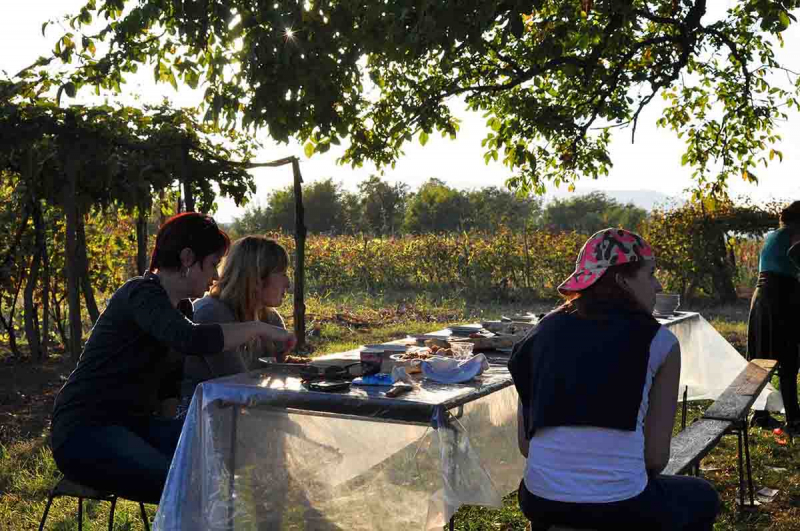 Праздник сбора винограда в Грузии - Ртвели. Как это было?