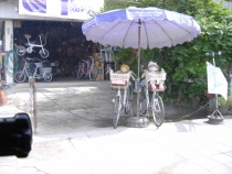 Первый раз за границу:  БКК -Самуи на месяц авг-сент 2011