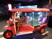 Первый раз за границу:  БКК -Самуи на месяц авг-сент 2011