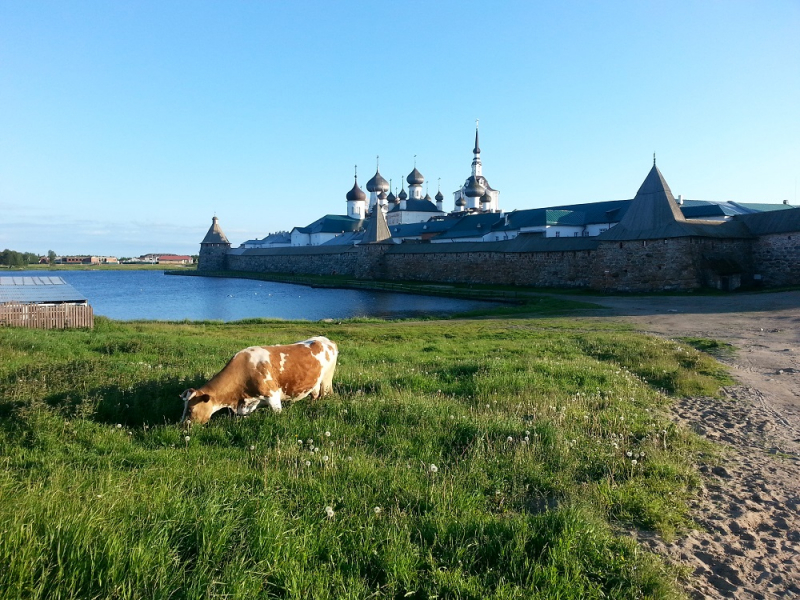 Россия времен ЧМ по футболу 2018: Москва-Коломна-СПб-Карелия-Соловки-Кронштадт-СПб