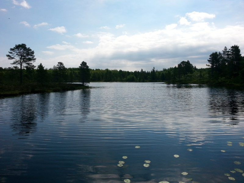 Россия времен ЧМ по футболу 2018: Москва-Коломна-СПб-Карелия-Соловки-Кронштадт-СПб