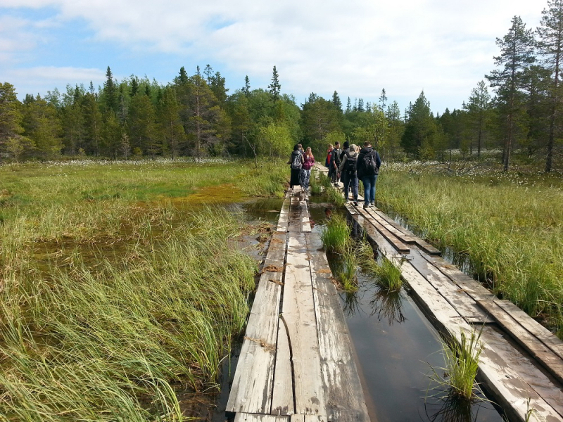 Россия времен ЧМ по футболу 2018: Москва-Коломна-СПб-Карелия-Соловки-Кронштадт-СПб