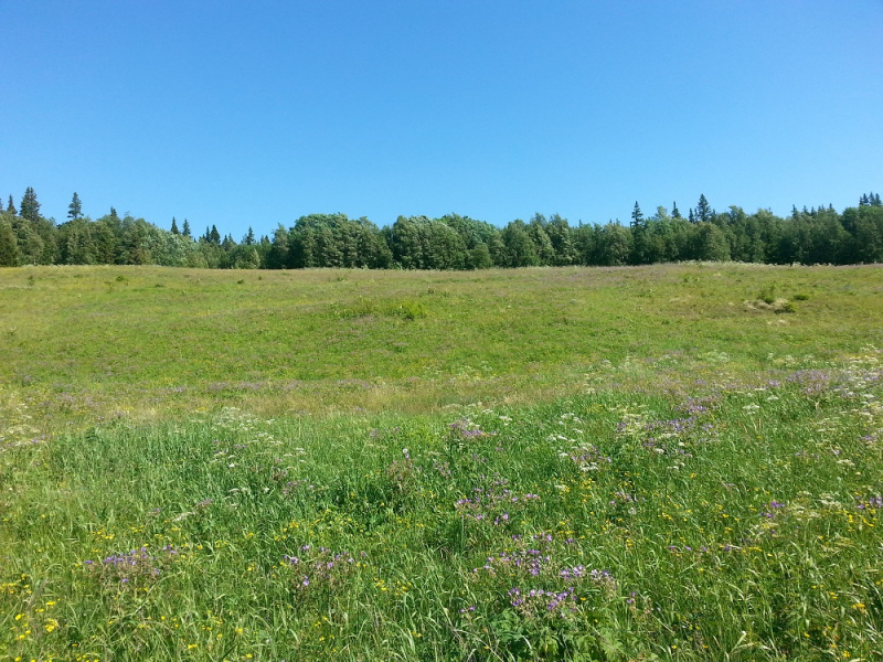 Россия времен ЧМ по футболу 2018: Москва-Коломна-СПб-Карелия-Соловки-Кронштадт-СПб