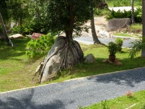 Первый раз за границу:  БКК -Самуи на месяц авг-сент 2011