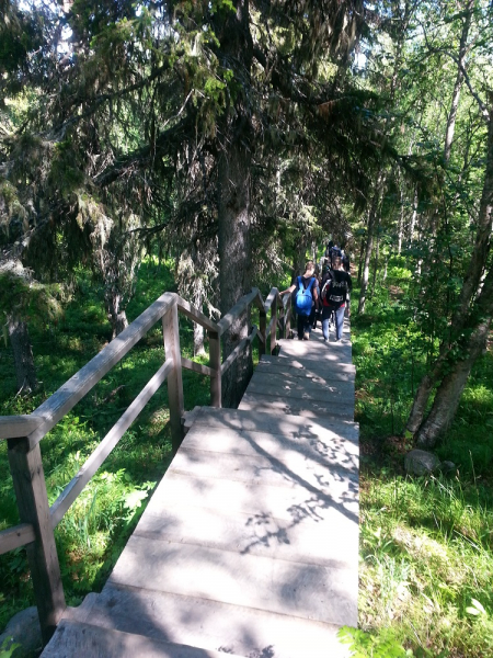 Россия времен ЧМ по футболу 2018: Москва-Коломна-СПб-Карелия-Соловки-Кронштадт-СПб