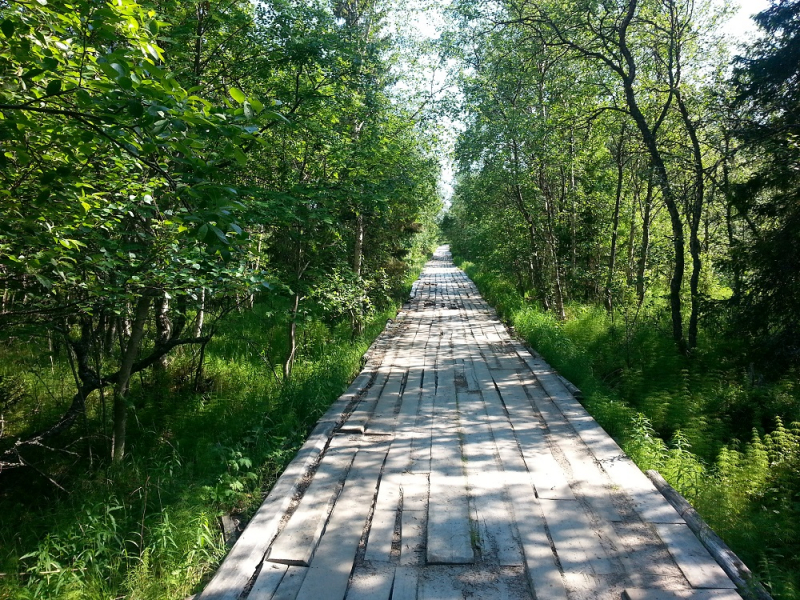 Россия времен ЧМ по футболу 2018: Москва-Коломна-СПб-Карелия-Соловки-Кронштадт-СПб