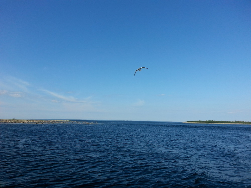 Россия времен ЧМ по футболу 2018: Москва-Коломна-СПб-Карелия-Соловки-Кронштадт-СПб