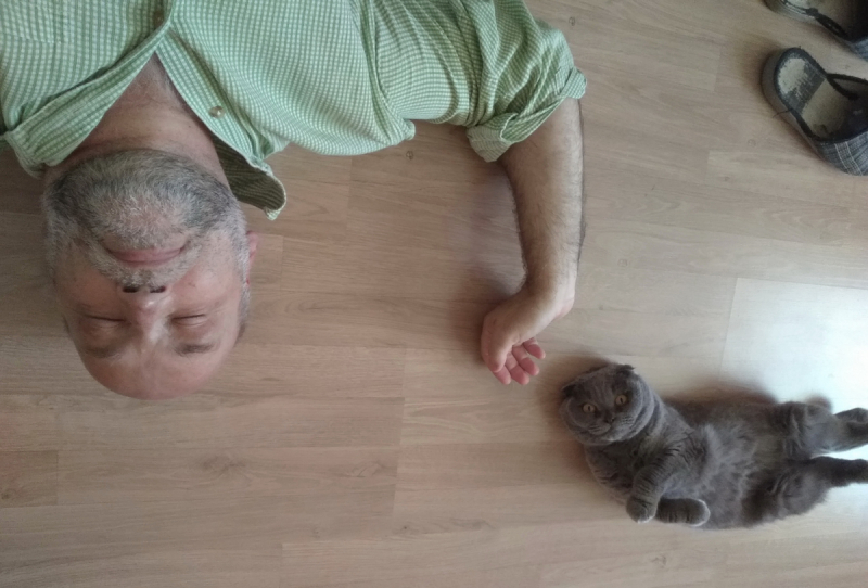 Кошки в нашей жизни. Кошки и все, что с ними связано.