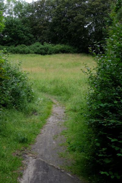 Северная Германия от Бремена до Рюгена и не только