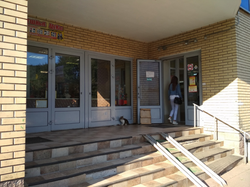 Кошки в нашей жизни. Кошки и все, что с ними связано.